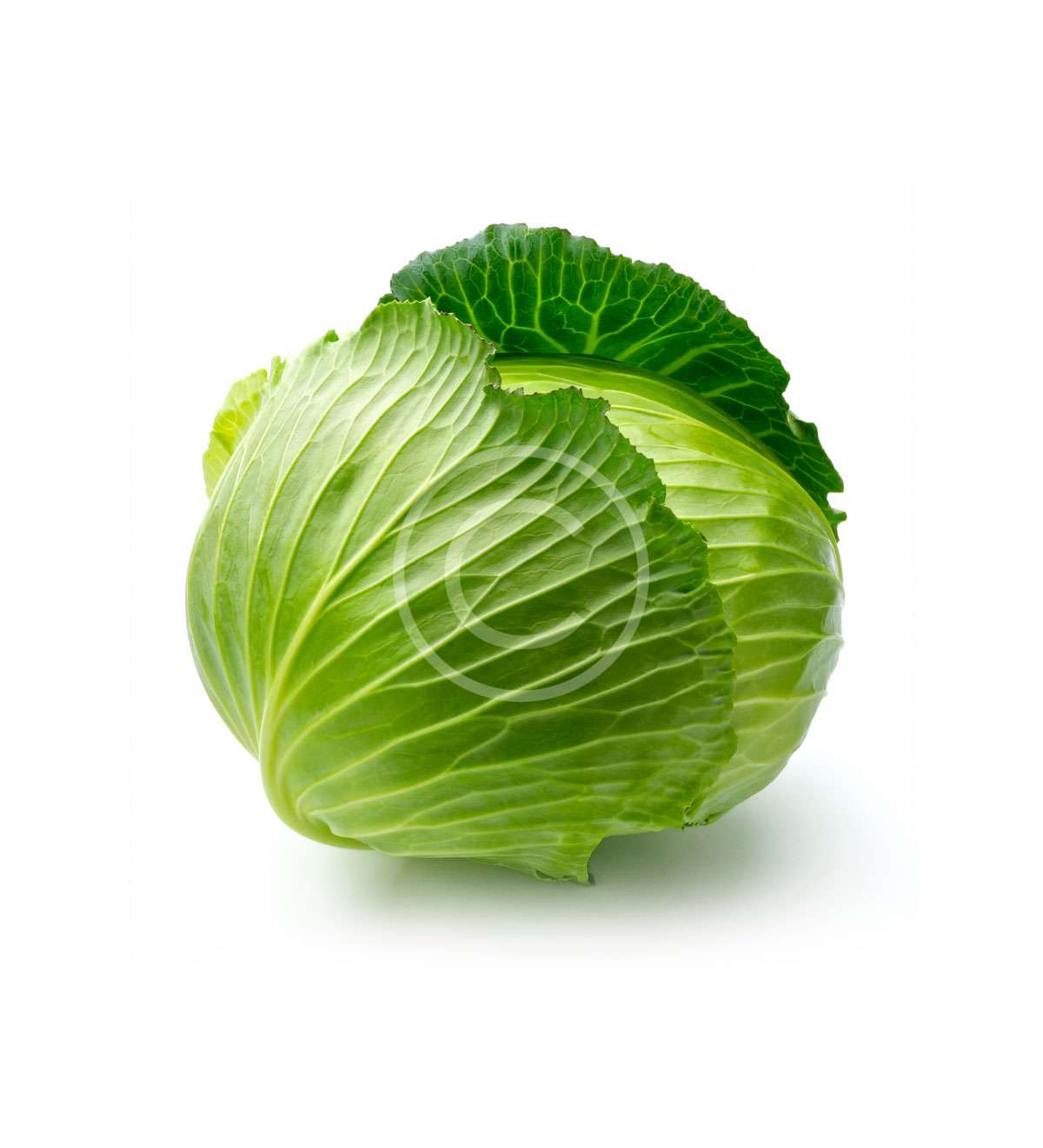 Onion - Imagen 2