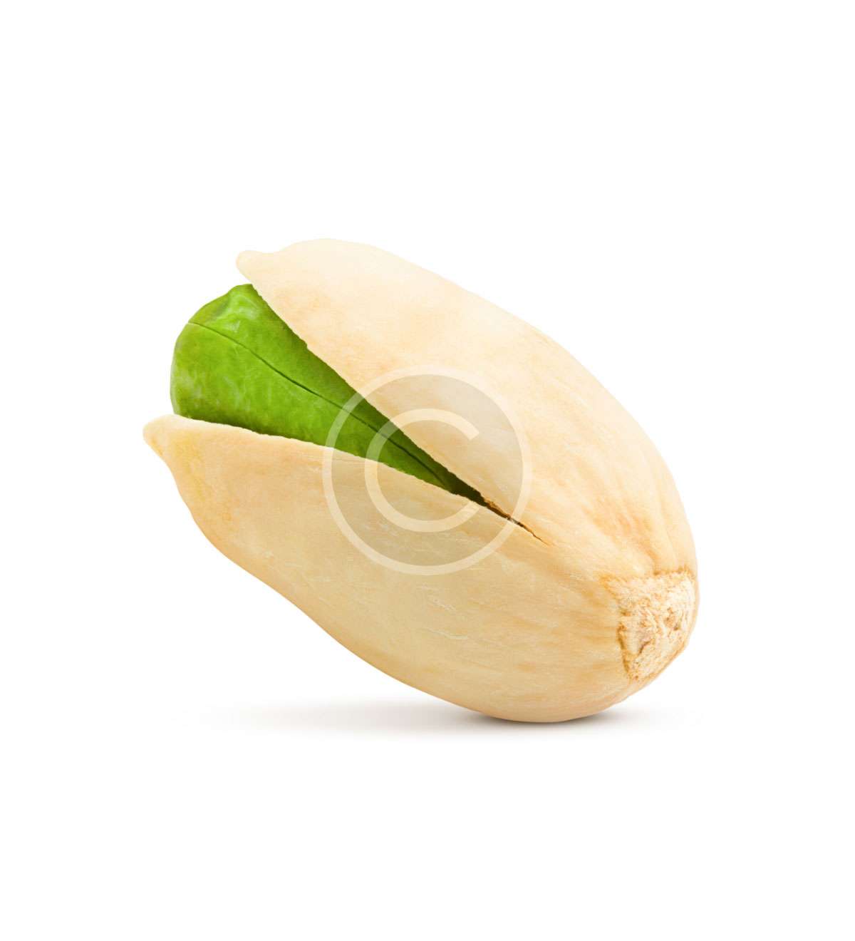 Carrot - Imagen 3