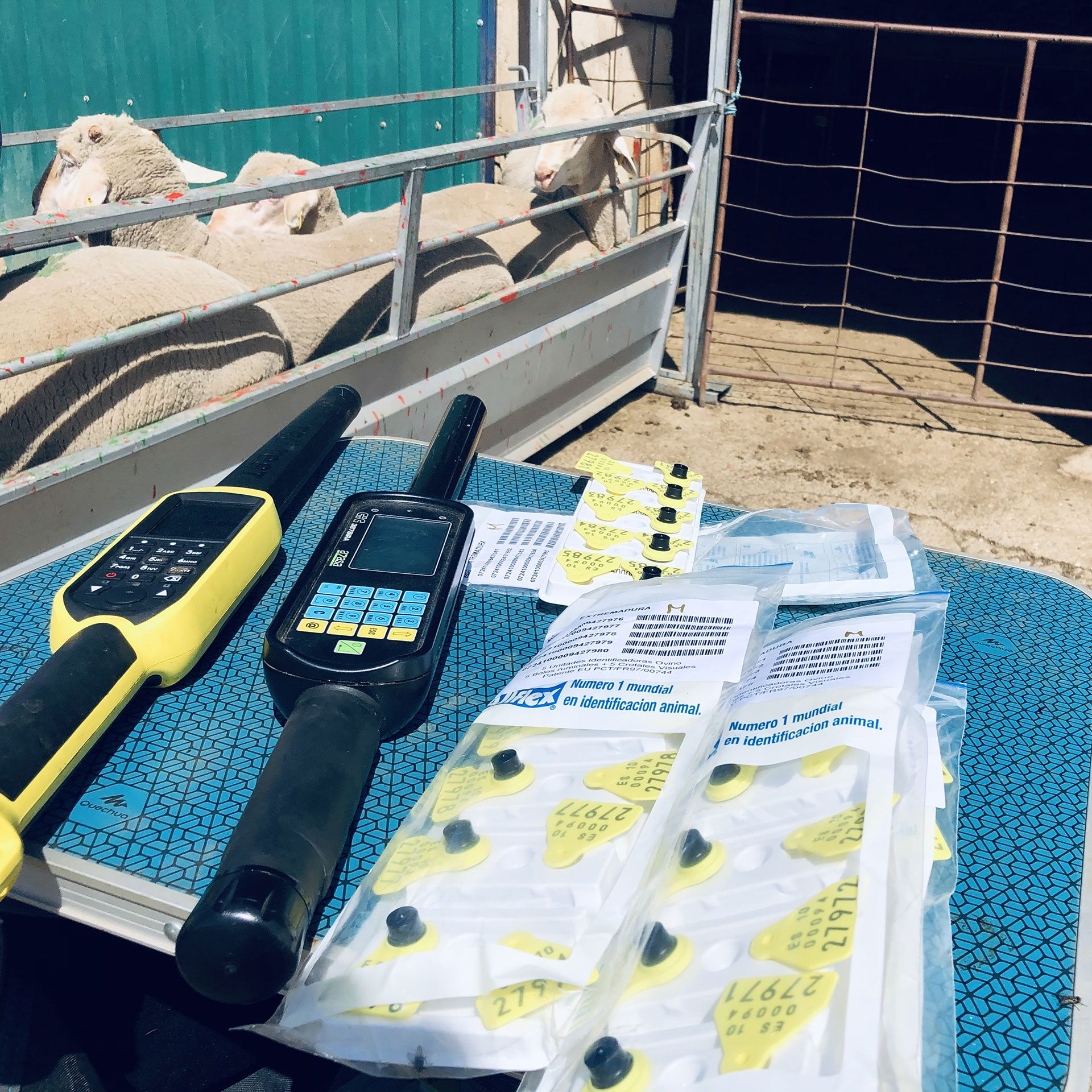 Consultoría estratégica